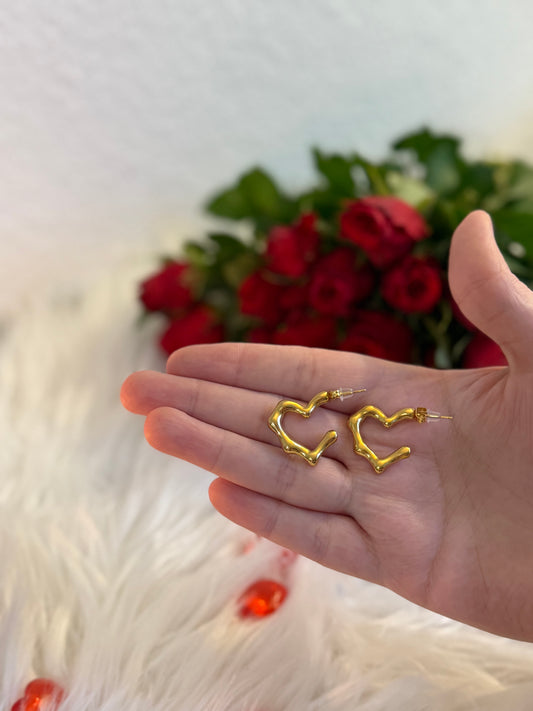 Sandy “Earrings”