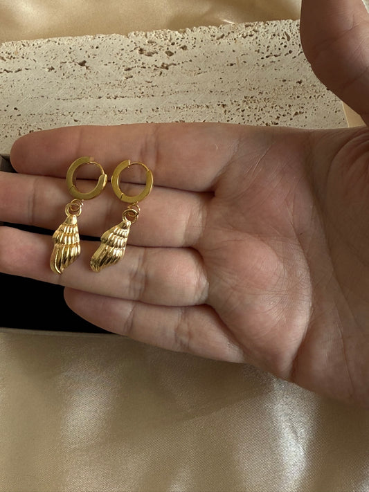 Shell Earrings